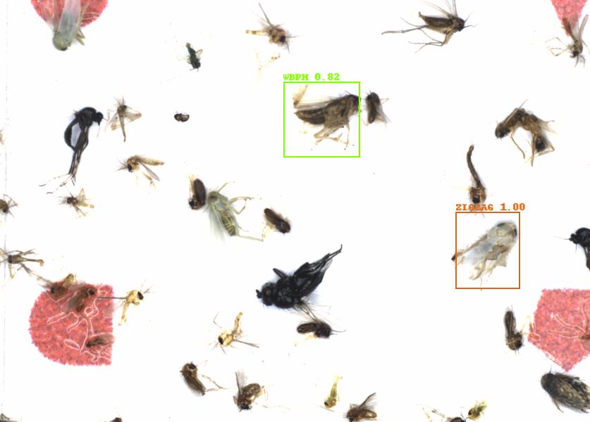 Fullscreen Image