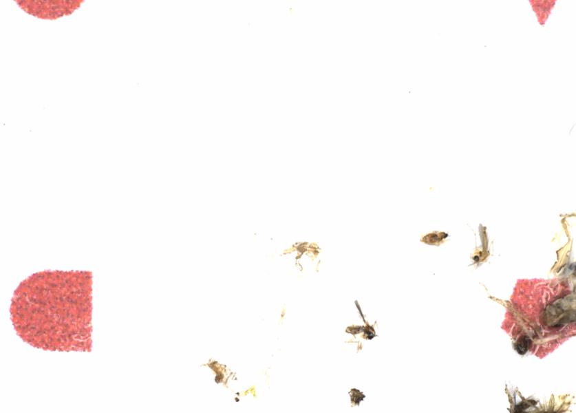 Fullscreen Image