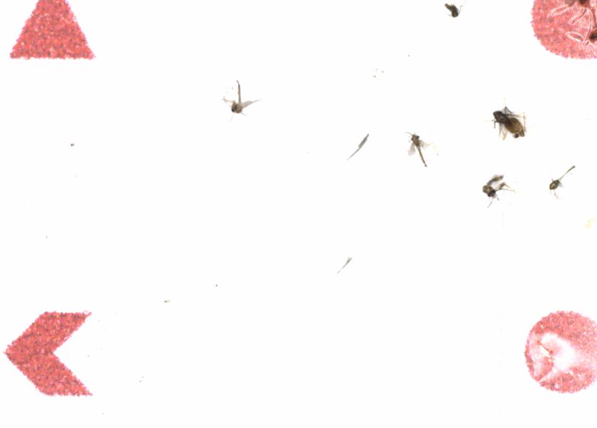 Fullscreen Image