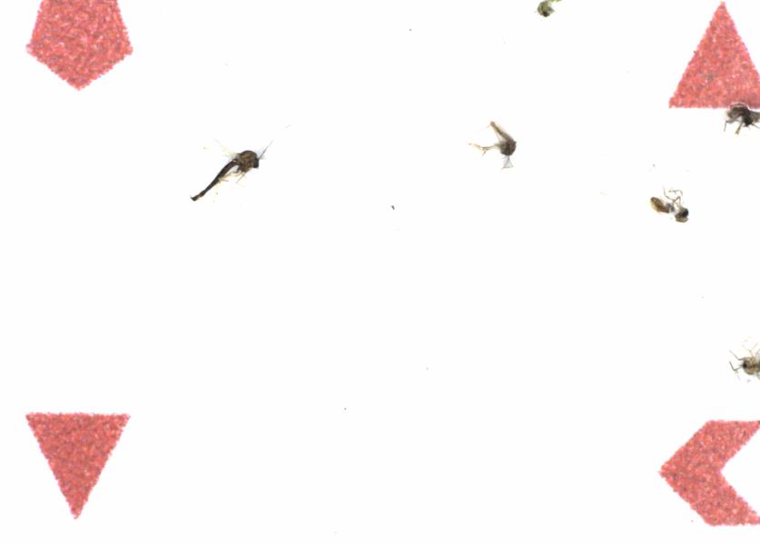 Fullscreen Image