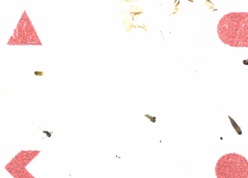 Fullscreen Image