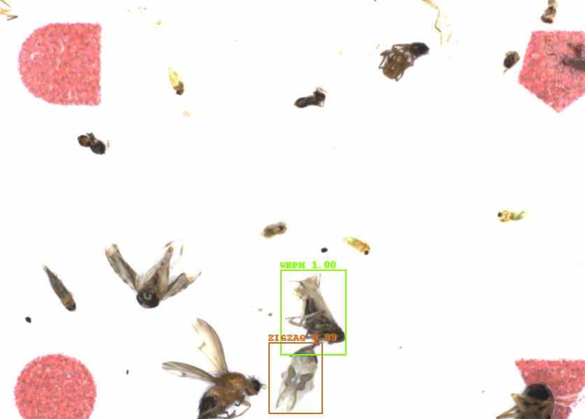 Fullscreen Image