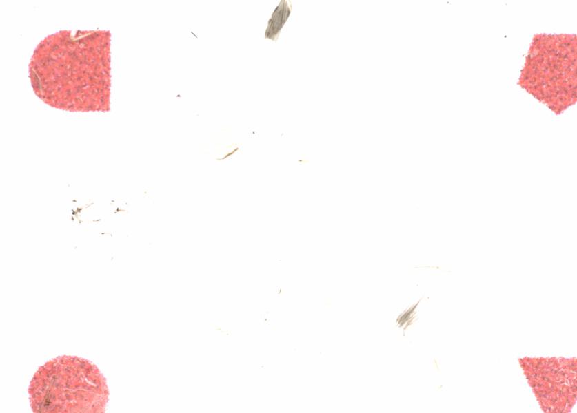 Fullscreen Image