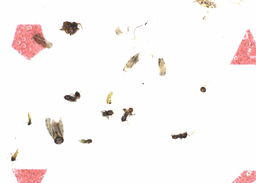 Fullscreen Image