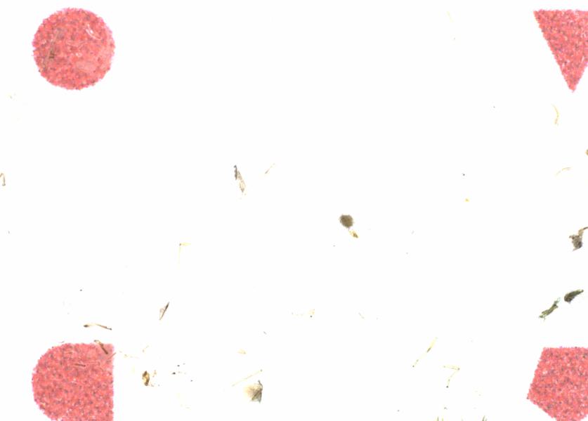 Fullscreen Image