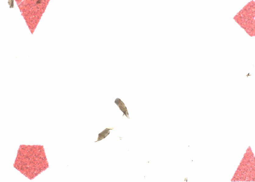 Fullscreen Image