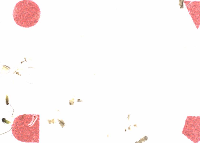 Fullscreen Image