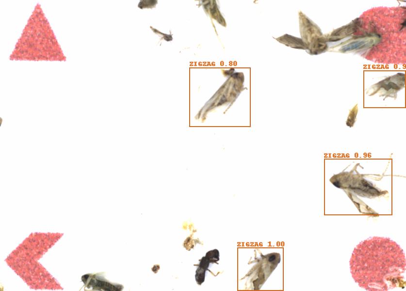 Fullscreen Image