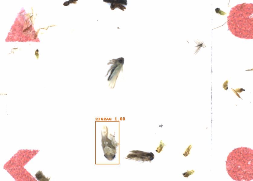 Fullscreen Image
