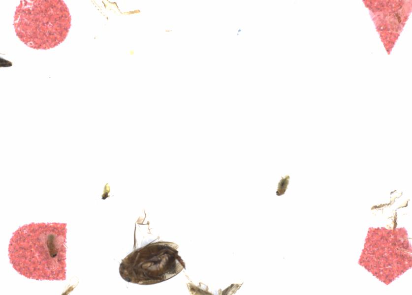 Fullscreen Image