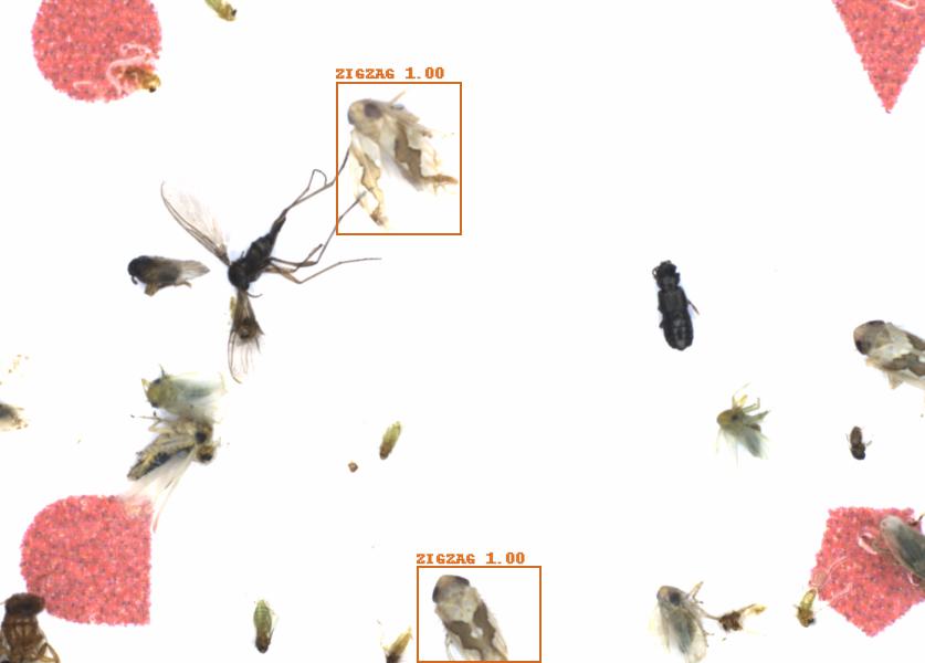Fullscreen Image