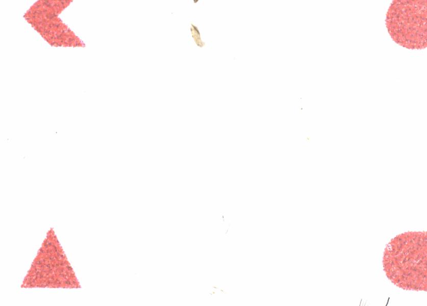 Fullscreen Image