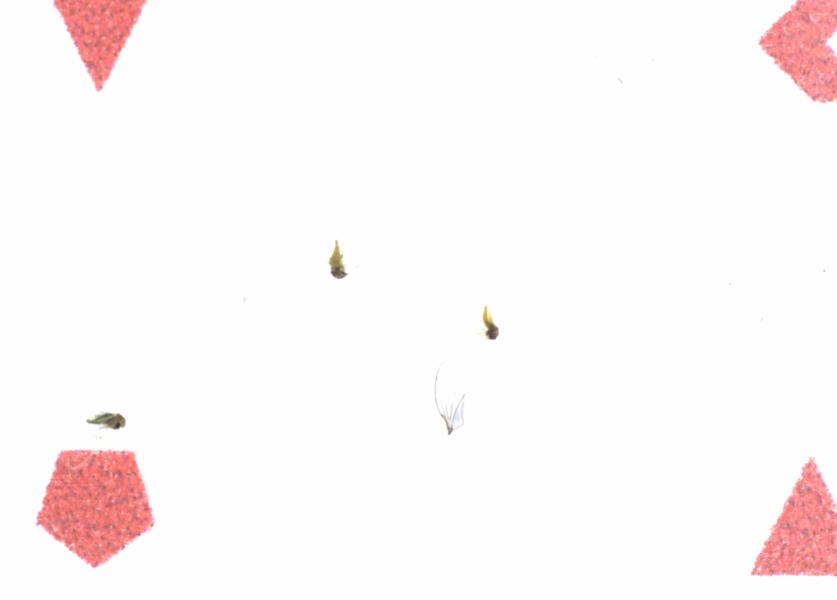 Fullscreen Image