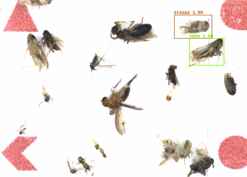 Fullscreen Image