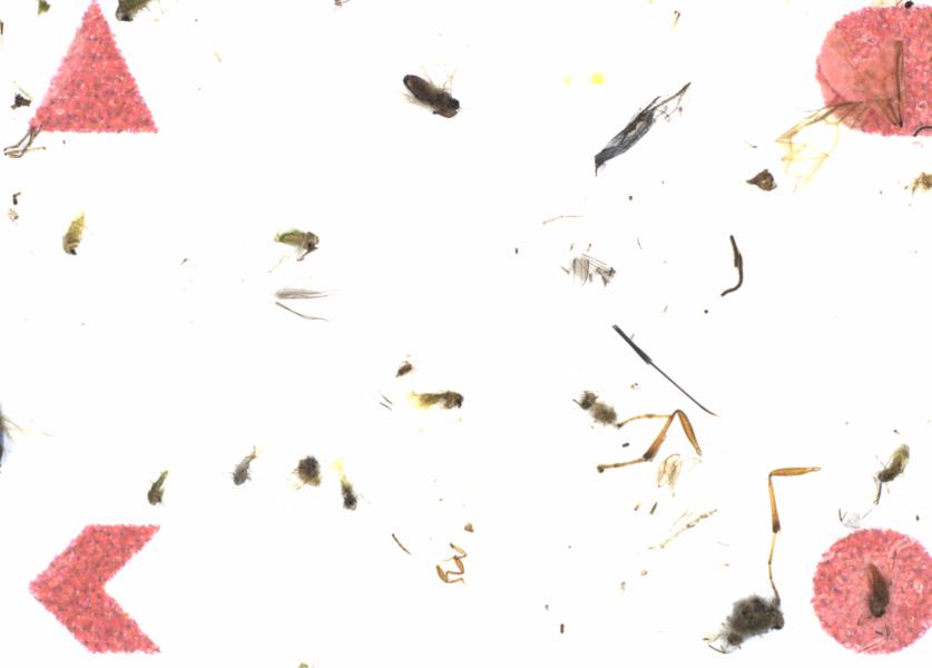 Fullscreen Image