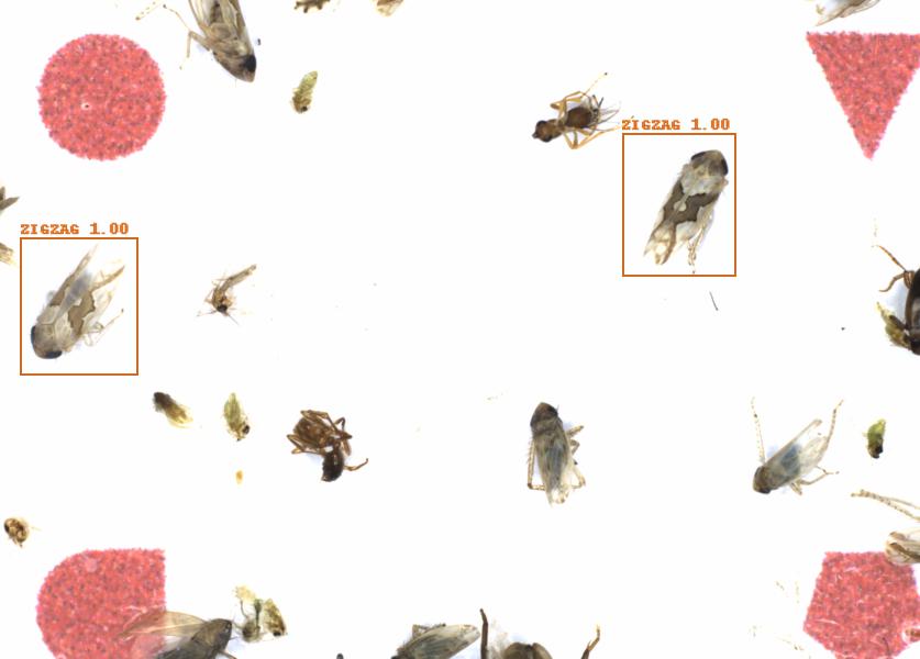 Fullscreen Image
