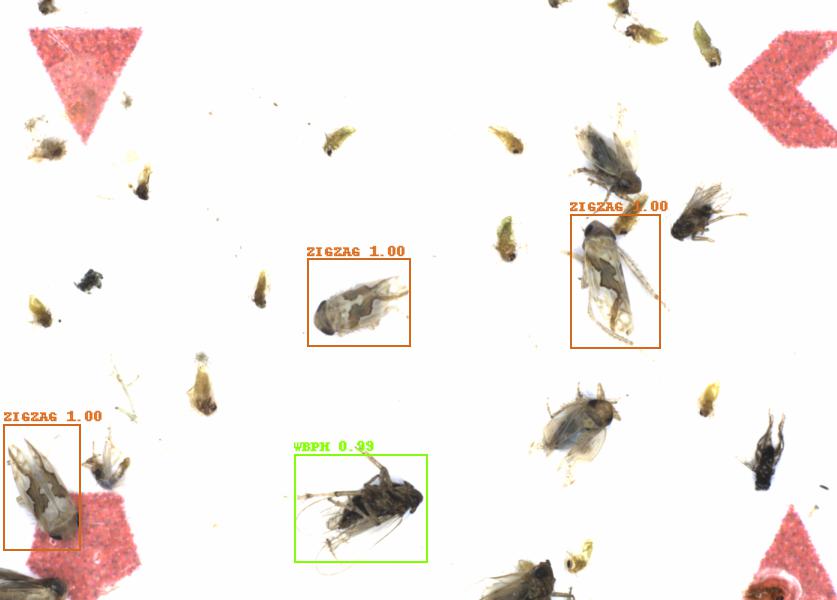 Fullscreen Image