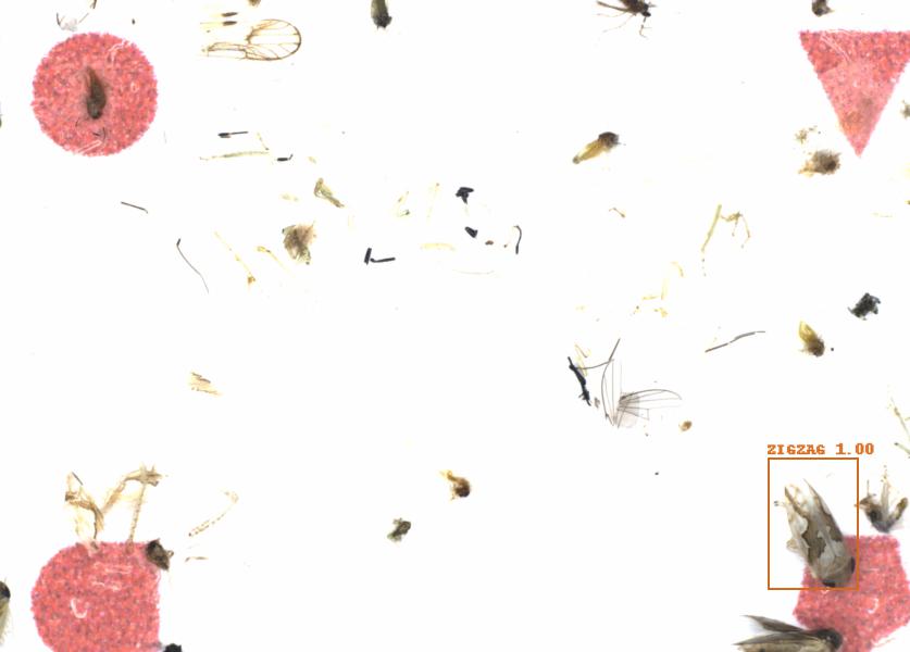 Fullscreen Image