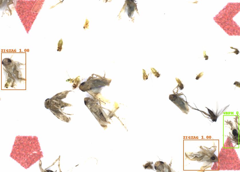 Fullscreen Image