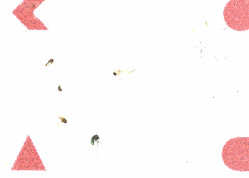 Fullscreen Image