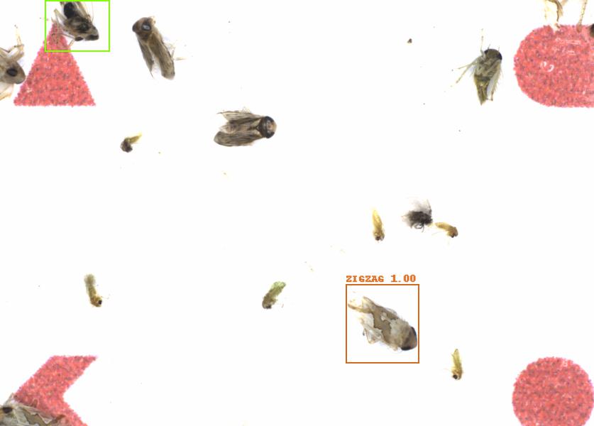 Fullscreen Image