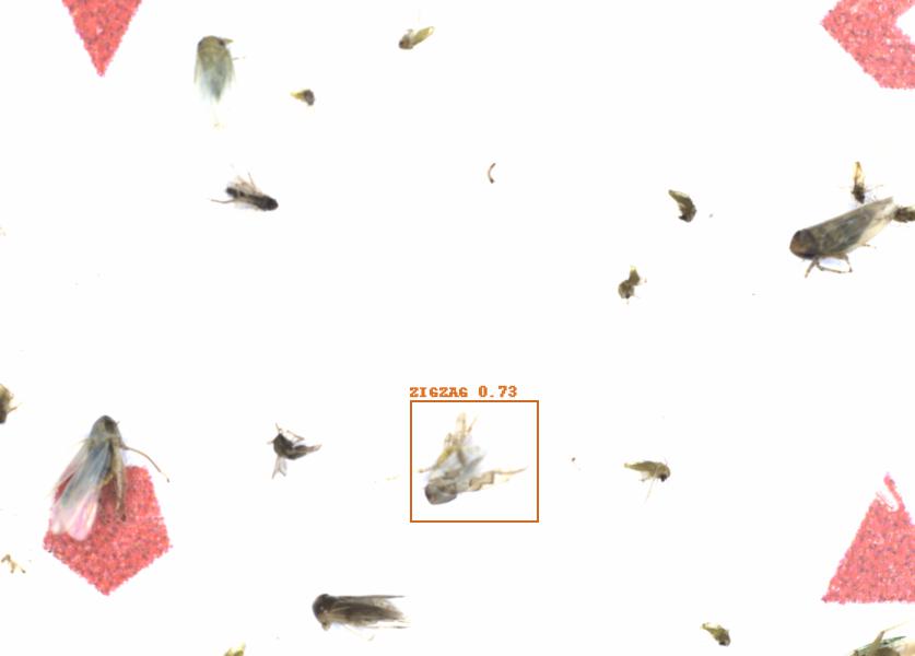Fullscreen Image