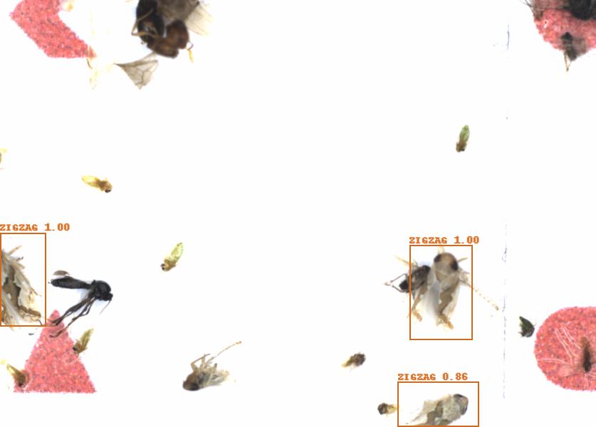 Fullscreen Image