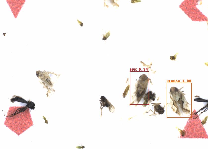 Fullscreen Image