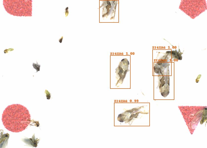 Fullscreen Image