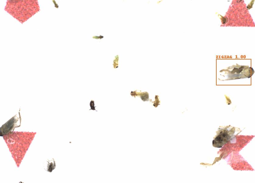 Fullscreen Image