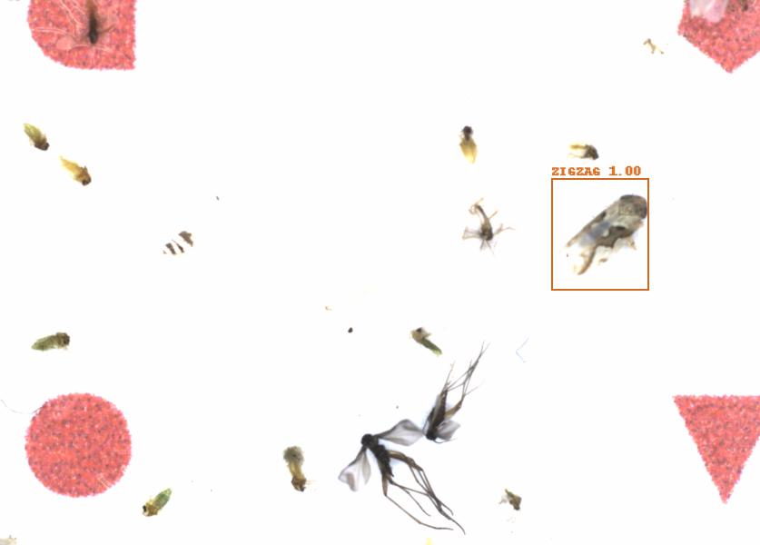 Fullscreen Image