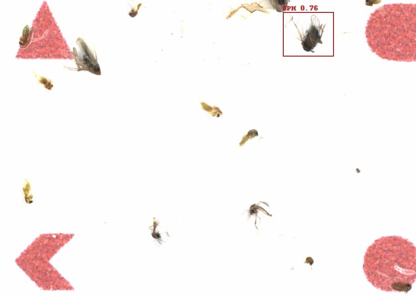 Fullscreen Image