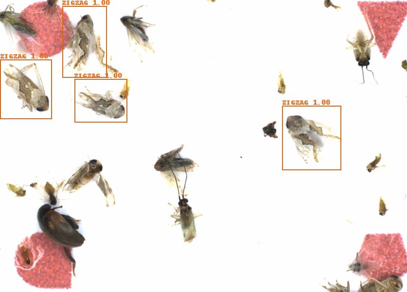 Fullscreen Image