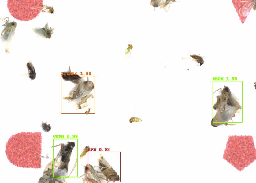 Fullscreen Image