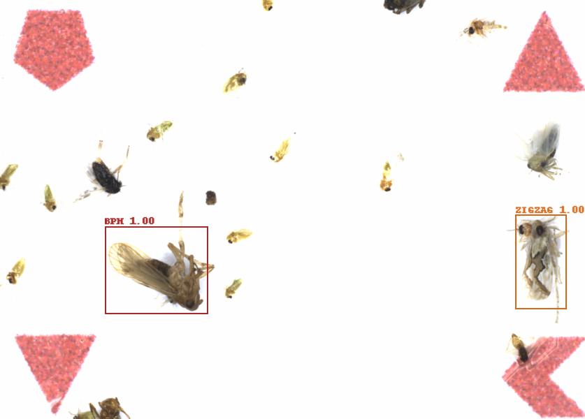 Fullscreen Image