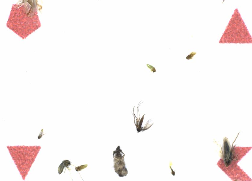 Fullscreen Image
