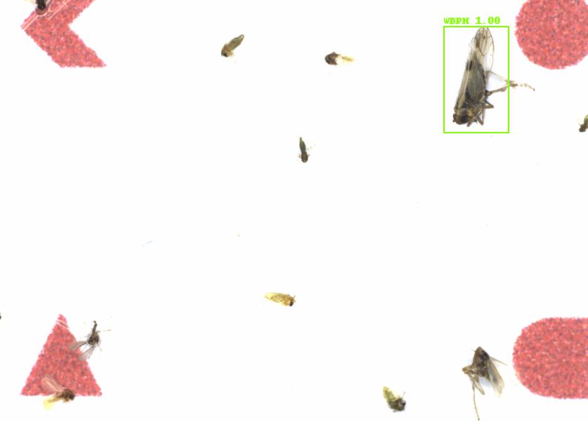 Fullscreen Image