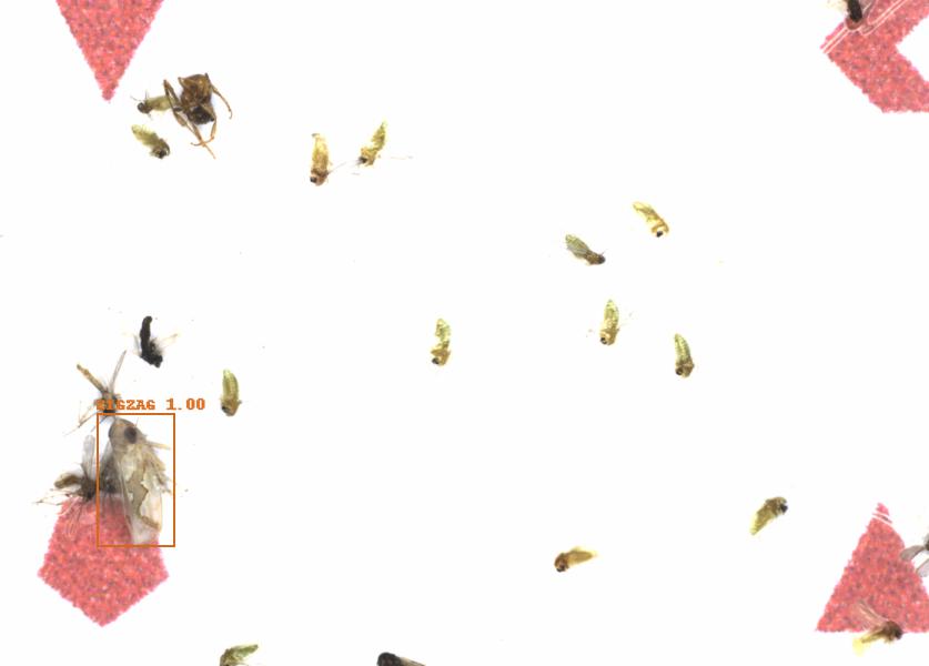 Fullscreen Image