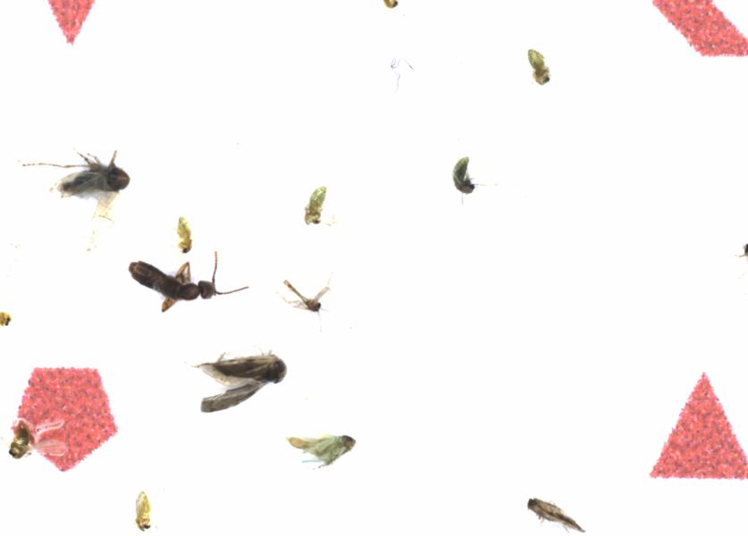 Fullscreen Image