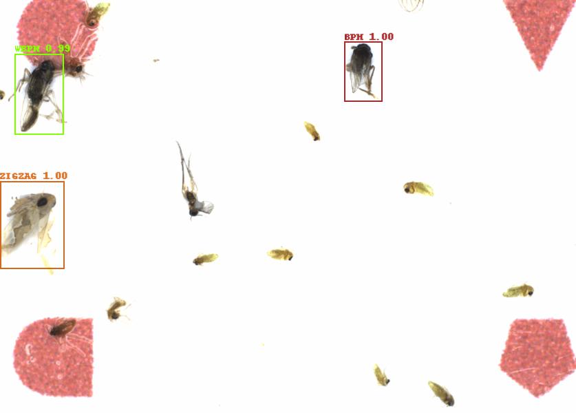 Fullscreen Image
