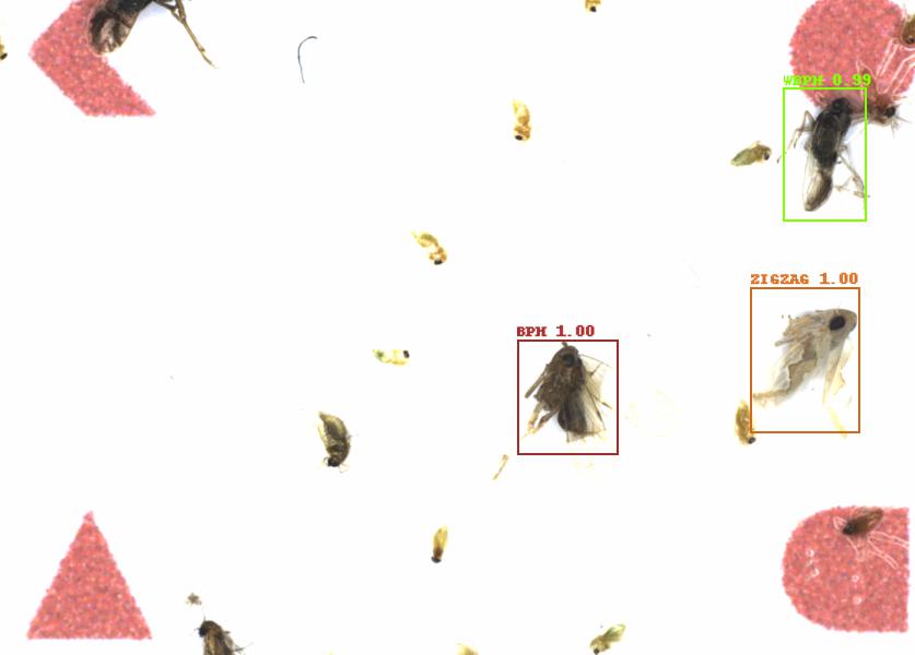 Fullscreen Image
