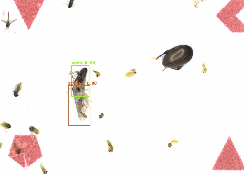 Fullscreen Image