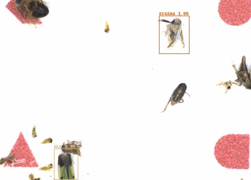 Fullscreen Image