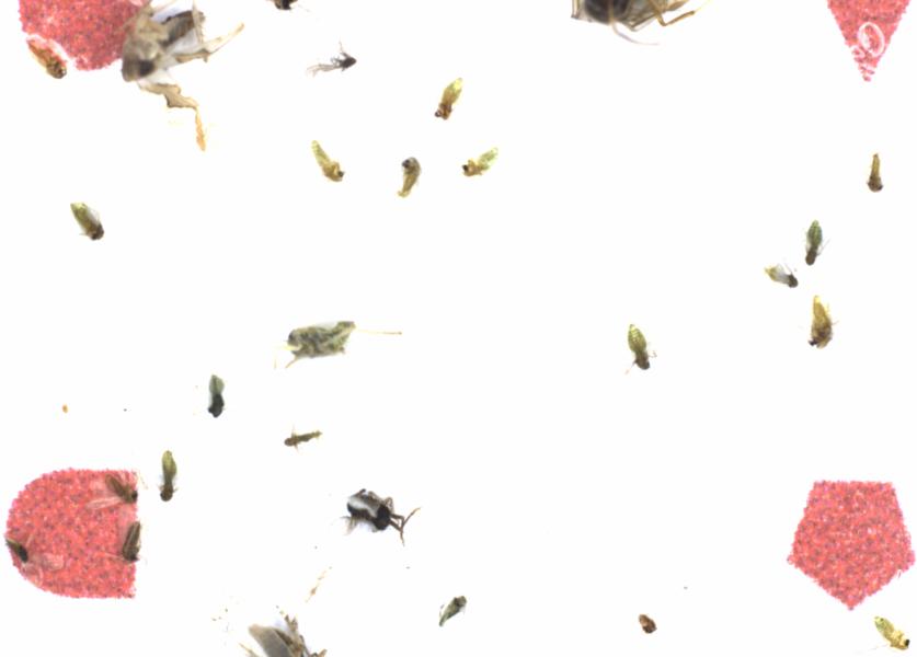 Fullscreen Image