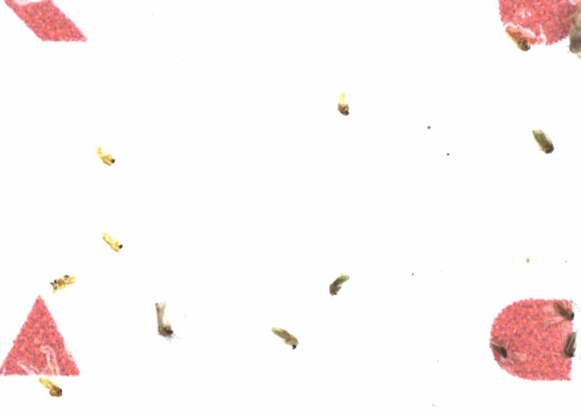 Fullscreen Image