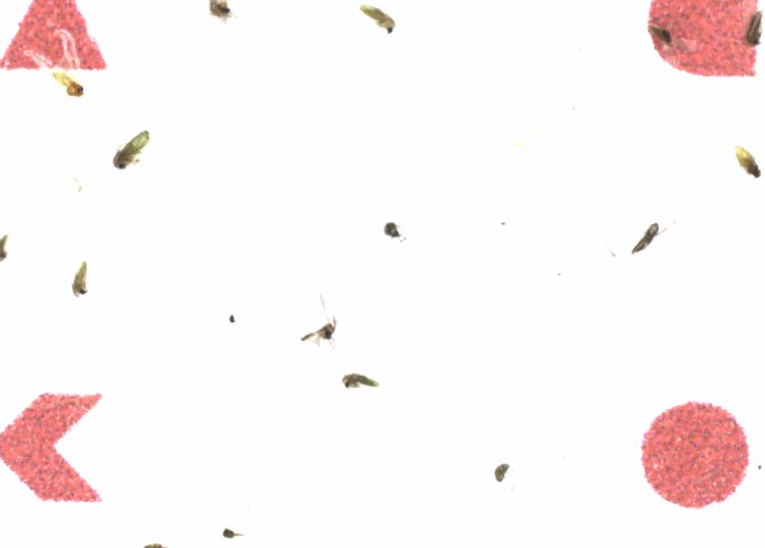 Fullscreen Image