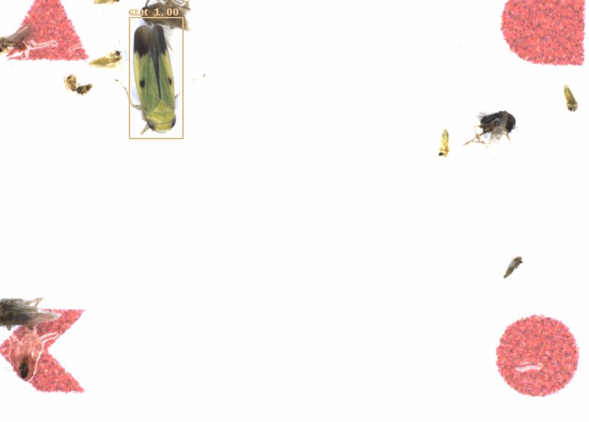 Fullscreen Image