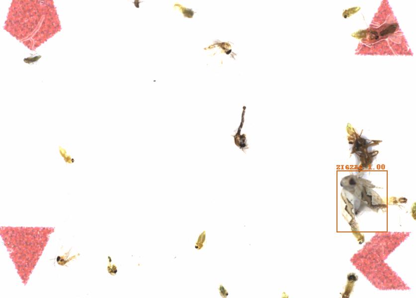 Fullscreen Image