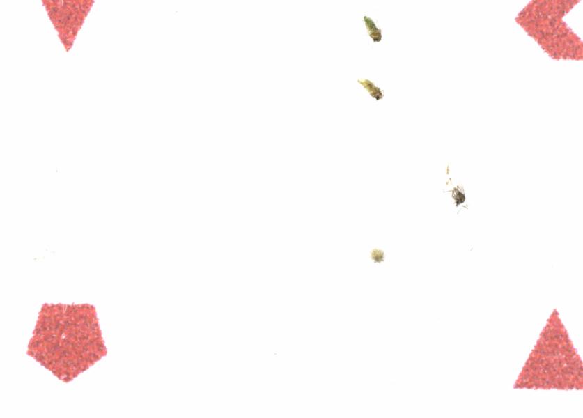 Fullscreen Image