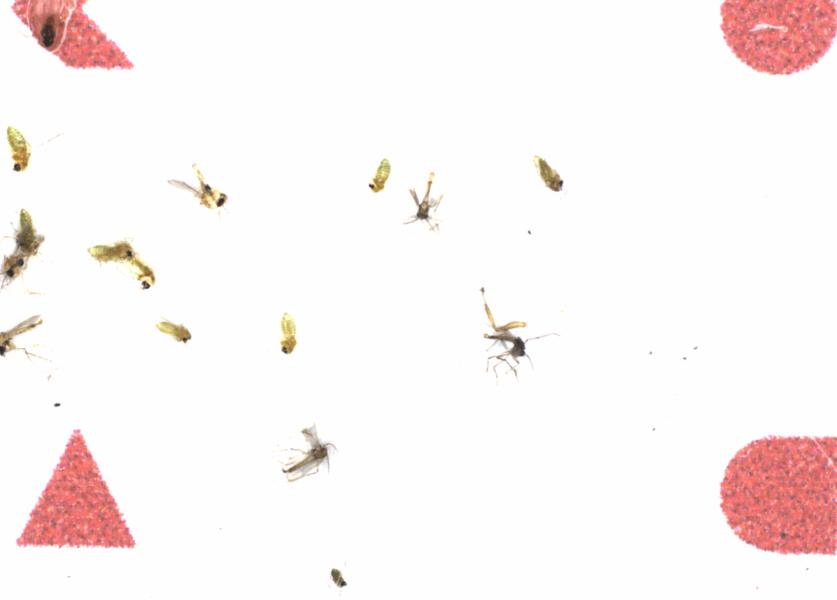 Fullscreen Image